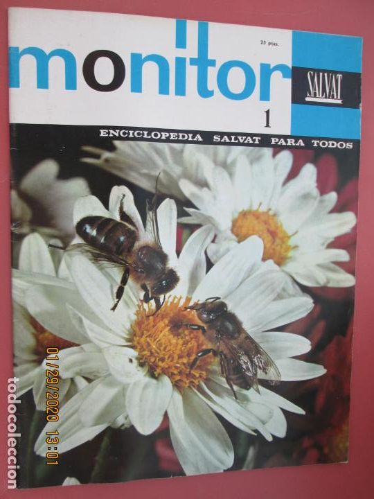 Collectionnisme de Revues et Journaux: MONITOR - ENCICLOPEDIA SALVAT - FASCICULO N&ordm; 1.