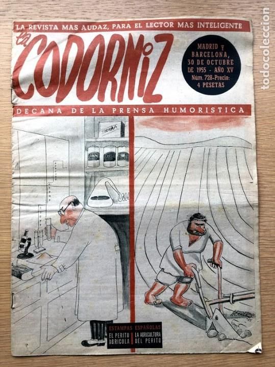 Coleccionismo de Revistas y Peri&oacute;dicos: Revista La Codorniz / N&uacute;mero 728 / 30 de octubre de 1955 / A&ntilde;o XV /