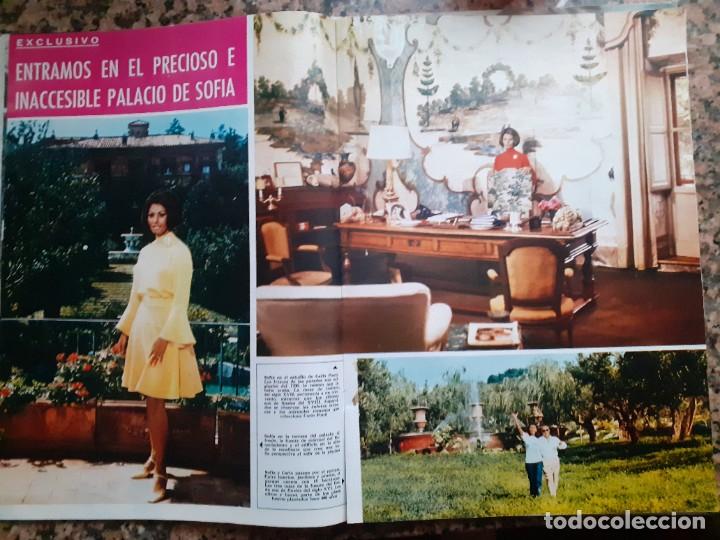 Coleccionismo de Revistas y Peri&oacute;dicos: sofia loren