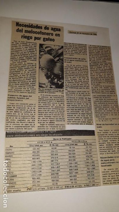 Coleccionismo de revistas y peri&oacute;dicos: RECORTE NOTICIA PERI&Oacute;DICO MURCIA LA VERDAD NECESIDADES AGUA MELOCOTONERO RIEGO POR GOTEO TABLA LITRO