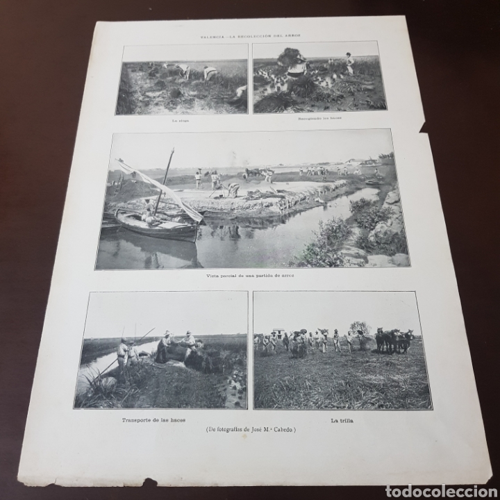 Coleccionismo de Revistas y Peri&oacute;dicos: RECOLECCION DE ARROZ - VALENCIA 1912 - 38 CM X 28 CM