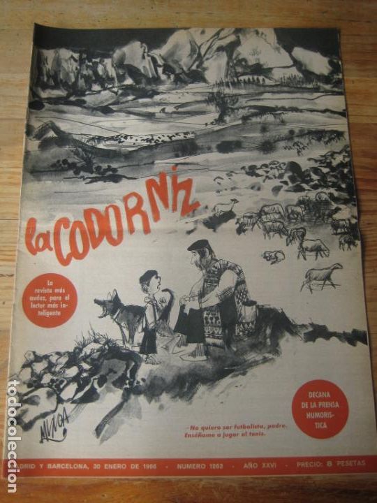 Coleccionismo de Revistas y Peri&oacute;dicos: REVISTA LA CODORNIZ N&ordm; 1263 - 30 ENERO 1966 - PORTADA MUNOA  - HUMOR