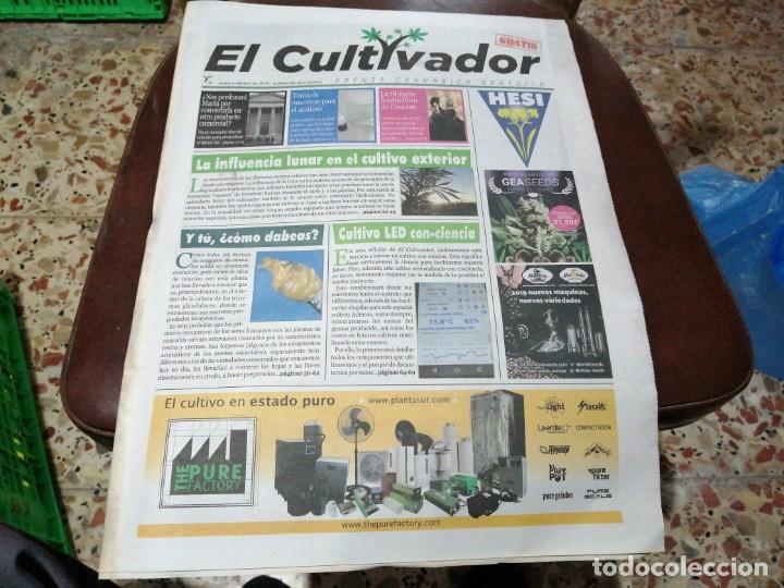 Coleccionismo de Revistas y Peri&oacute;dicos: Peri&oacute;dico EL CULTIVADOR N&deg; 41 a&ntilde;o 2019 prensa cannabica marihuana canabis cannabis