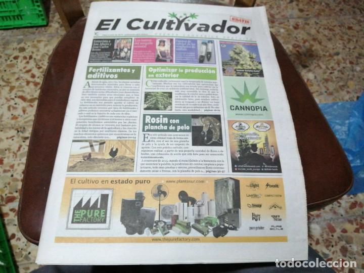 Coleccionismo de Revistas y Peri&oacute;dicos: Peri&oacute;dico EL CULTIVADOR N&deg; 43 a&ntilde;o 2019 prensa cannabica marihuana canabis cannabis
