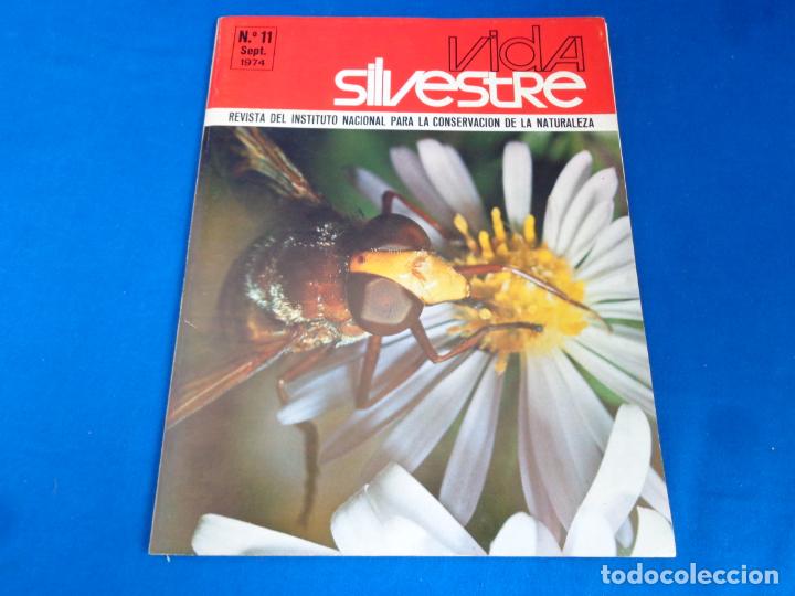 Coleccionismo de revistas y peri&oacute;dicos: VIDA SILVESTRE N&ordm; 11 SEPTIEMBRE 1974 VER FOTOS! SM