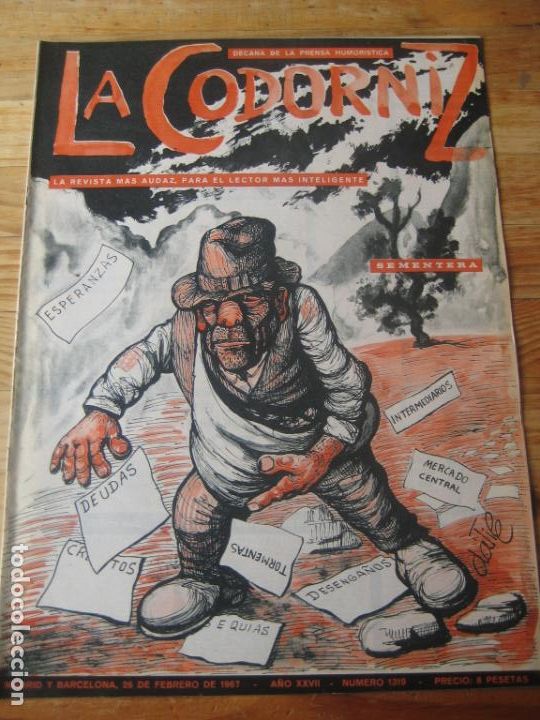 Coleccionismo de Revistas y Peri&oacute;dicos: REVISTA LA CODORNIZ N&ordm; 1319 - 26 FEBRERO 1967 - PORTADA DATILE  - HUMOR - AGRICULTURA
