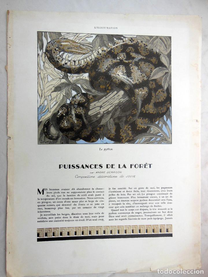 Coleccionismo de Revistas y Peri&oacute;dicos: PUISSANCES DE LA F&Ocirc;RET. DEMAISON Andr&eacute; (texto), JOUVE (Compositions d&eacute;coratives) 1934. Art Deco
