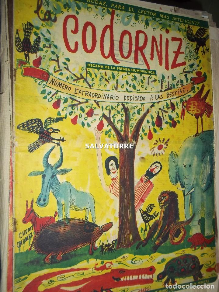 Coleccionismo de Revistas y Peri&oacute;dicos: REVISTA SATIRICA LA CODORNIZ. 15 OCTUBRE 1961. 1039