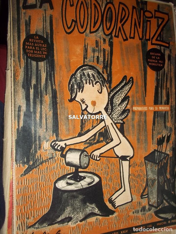 Coleccionismo de Revistas y Peri&oacute;dicos: REVISTA SATIRICA LA CODORNIZ. 15 MARZO 1964. 1165