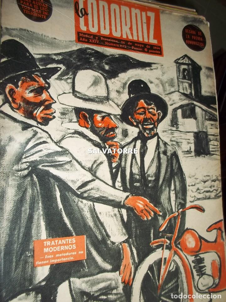 Coleccionismo de Revistas y Peri&oacute;dicos: REVISTA SATIRICA LA CODORNIZ. 24 MAYO 1964. 1175. PORTADA HERRERO