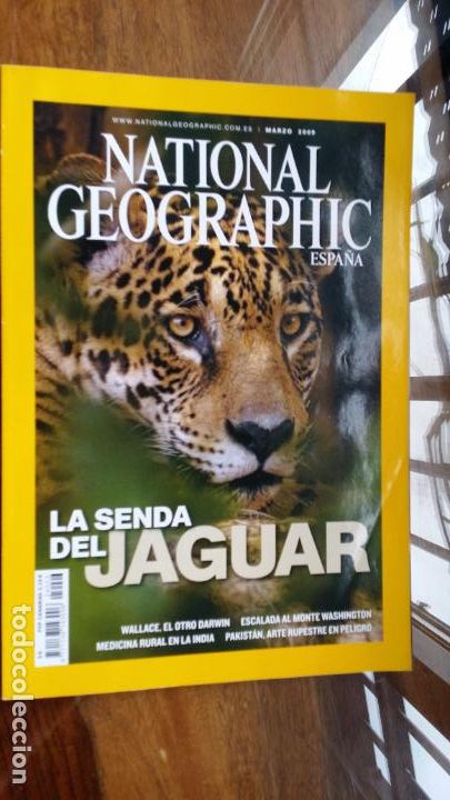 Coleccionismo de Revistas y Peri&oacute;dicos: NATIONAL GEOGRAPHIC ESPA&Ntilde;A - VOL. 24 - N&ordm; 3 -MARZO 2009 LA SENDA DEL JAGUAR