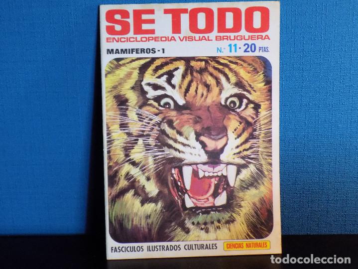 Coleccionismo de Revistas y Peri&oacute;dicos: ENCICLOPEDIA SE TODO DE BRUGUERA- GEOGRAFIA UNIVERSAL N.11