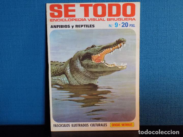 Coleccionismo de Revistas y Peri&oacute;dicos: ENCICLOPEDIA SE TODO DE BRUGUERA- GEOGRAFIA UNIVERSAL N.20