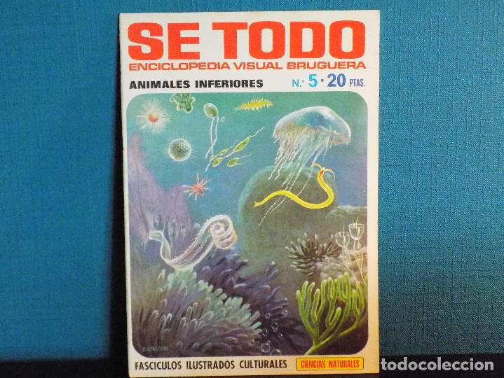 Coleccionismo de Revistas y Peri&oacute;dicos: ENCICLOPEDIA SE TODO DE BRUGUERA- GEOGRAFIA UNIVERSAL N.5