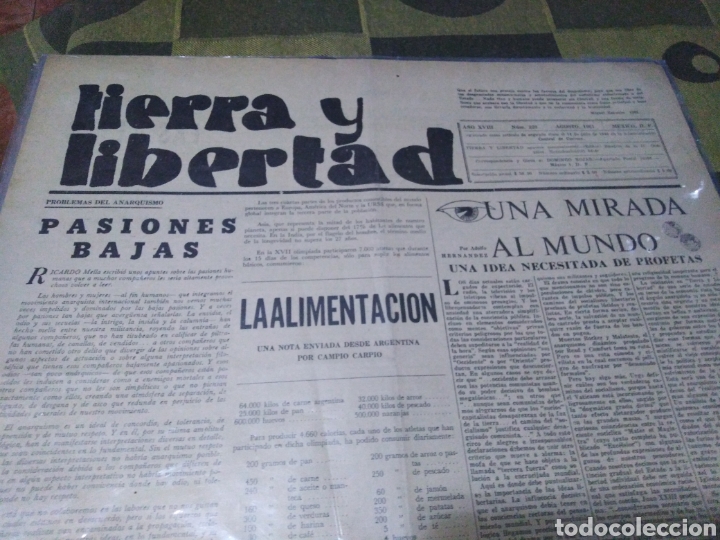 Collection Magazines and Newspapers: Periodista anarquista, TIERRA Y LIBERTAD, a&ntilde;o XVIII, n220, 1961