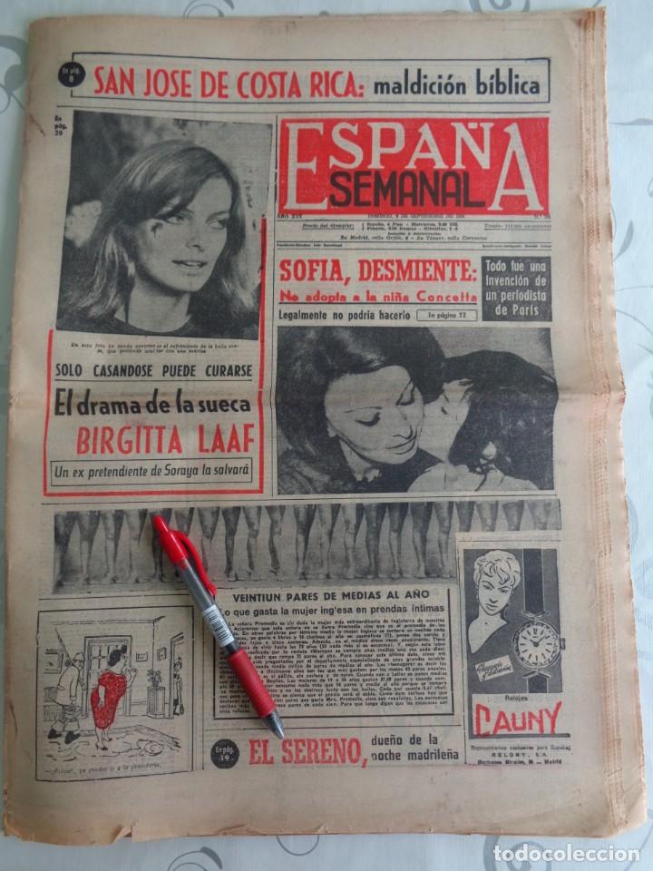 Coleccionismo de Revistas y Peri&oacute;dicos: SOFIA LOREN - URSULA ANDRESS - ROSANNA PODESTA - 007 ... EN ESPA&Ntilde;A SEMANAL 1964