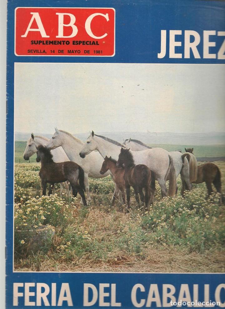 Coleccionismo de Revistas y Peri&oacute;dicos: ABC. JEREZ, FER&Iacute;A DEL CABALLO. 14 MAYO 1981. (ST/P)