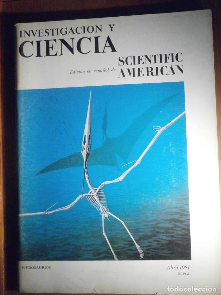 Colecionismo de Revistas e Jornais: INVESTIGACI&Oacute;N Y CIENCIA - SCIENTIFIC AM&Eacute;RICAN - PTEROSAURIOS - ABRIL 1981