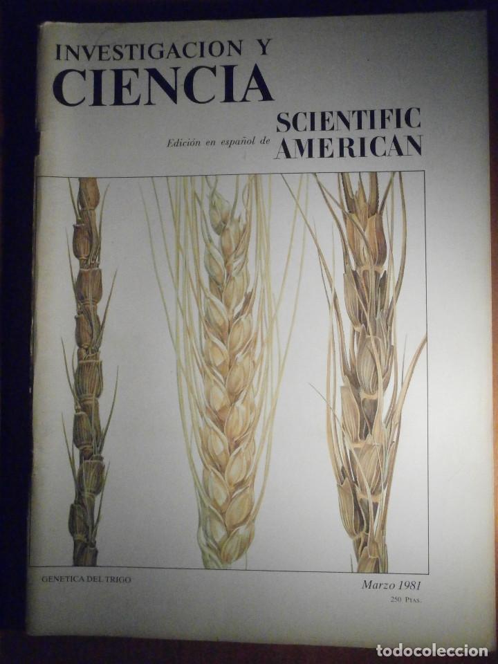 Colecionismo de Revistas e Jornais: INVESTIGACI&Oacute;N Y CIENCIA - SCIENTIFIC AM&Eacute;RICAN - Gen&eacute;tica del trigo - Marzo 1981