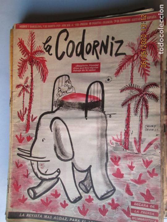 Coleccionismo de Revistas y Peri&oacute;dicos: LA CODORNIZ N&ordm; 925- 09-08-1959 - LA REVISTA MAS AUDAZ PARA EL LECTOR MAS INTELIGENTE