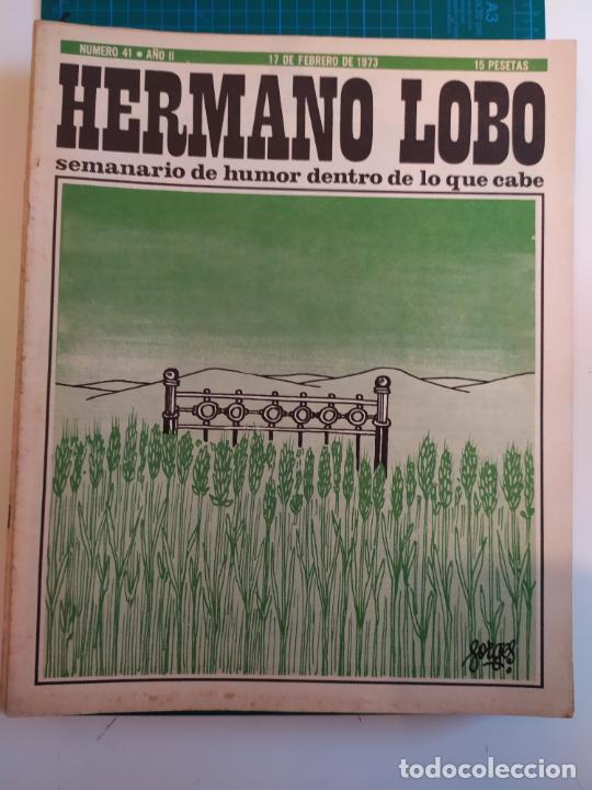 Coleccionismo de Revistas y Peri&oacute;dicos: REVISTA HERMANO LOBO N&ordm; 41 A&Ntilde;O 2 17 FEBRERO 1973 15 PESETAS