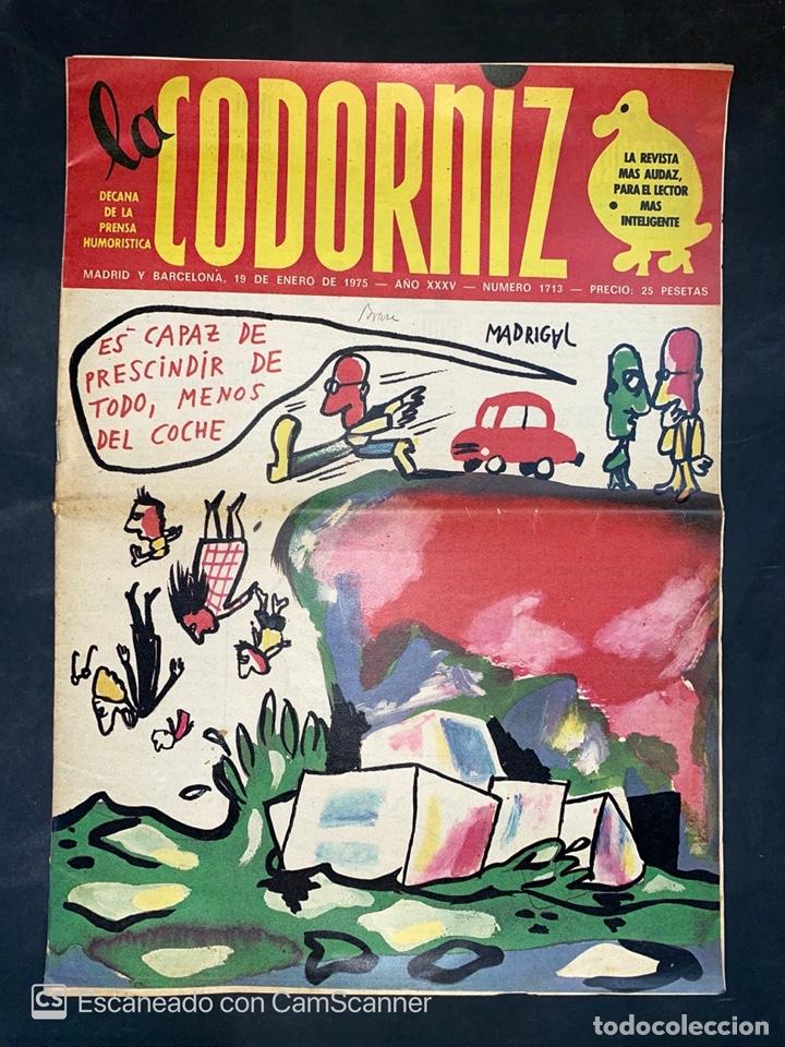 Coleccionismo de Revistas y Peri&oacute;dicos: LA CODORNIZ. PRENSA HUMORISTICA. A&Ntilde;O XXXV. NUMERO 1713. ENERO 1975. MADRIGAL. VER