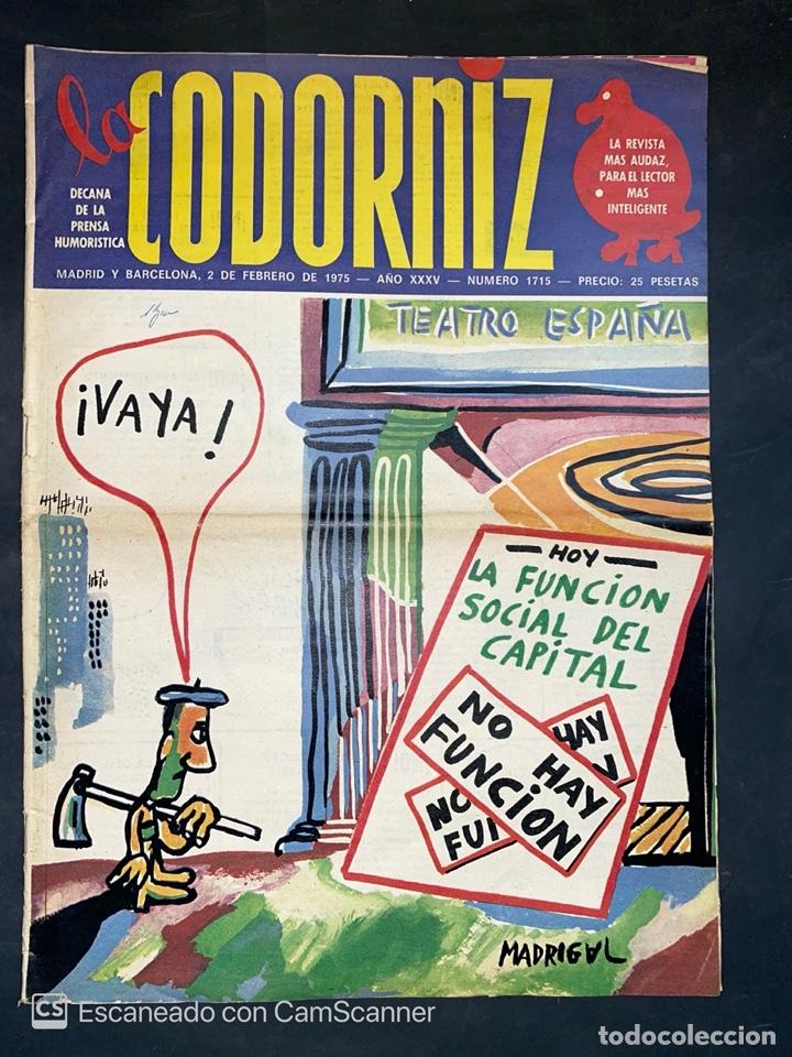 Coleccionismo de Revistas y Peri&oacute;dicos: LA CODORNIZ. PRENSA HUMORISTICA. A&Ntilde;O XXXV. NUMERO 1715. FEBRERO 1975. MADRIGAL. VER