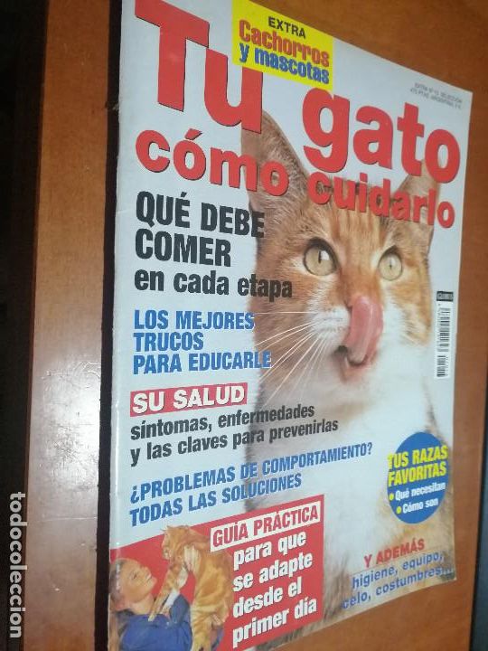 Coleccionismo de revistas y peri&oacute;dicos: TU GATO COMOO CUIDARLO EXTRA 13. GRAPA. BUEN ESTADO. DIFICIL caj. 83