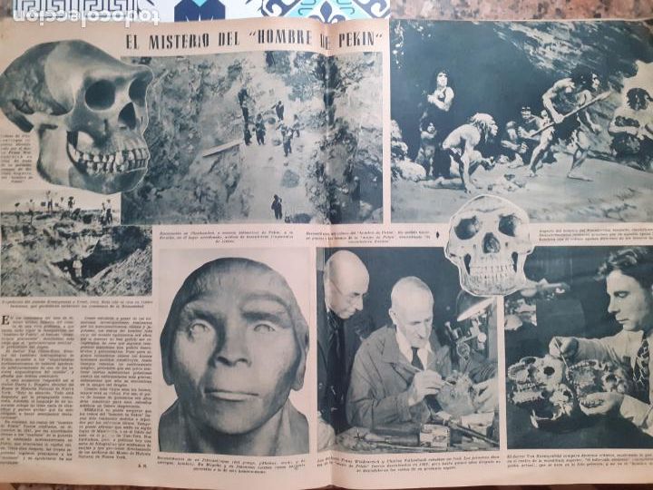 Coleccionismo de Revistas y Peri&oacute;dicos: 1952 prehistoria el misterio del hombre de pekin
