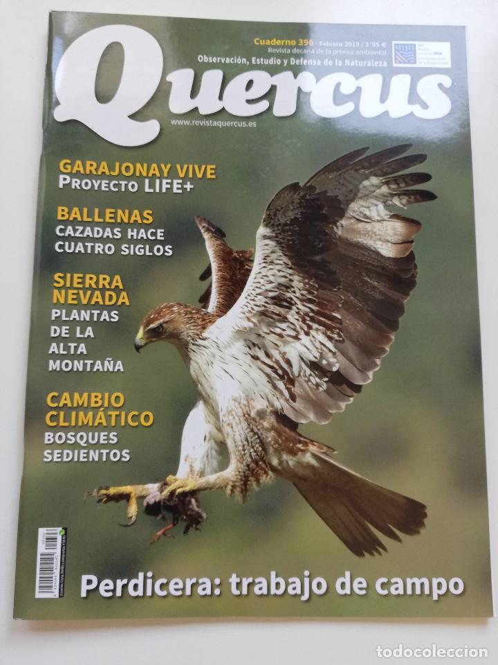 Collezionismo di Riviste e Giornali: REVISTA QUERCUS N&ordm; 396 (FEBRERO 2019)