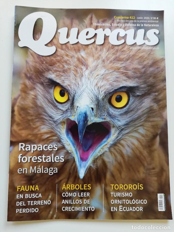 Collezionismo di Riviste e Giornali: REVISTA QUERCUS N&ordm; 412 (JUNIO 2020)