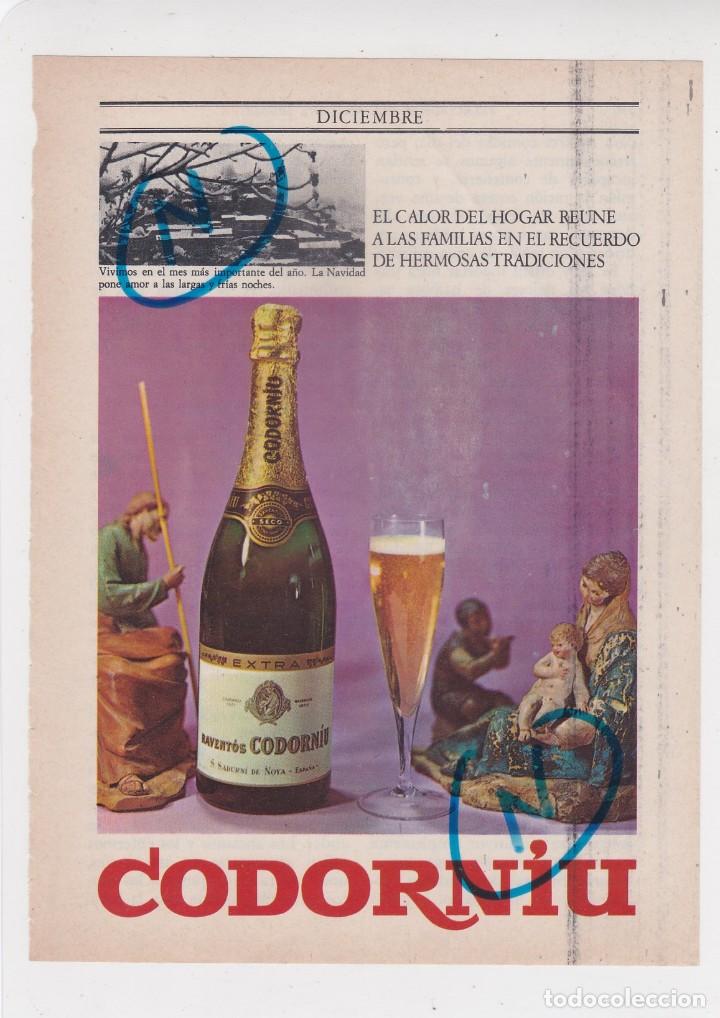 Coleccionismo de Revistas y Peri&oacute;dicos: PUBLICIDAD 1969. ANUNCIO CAVA CODORNIU