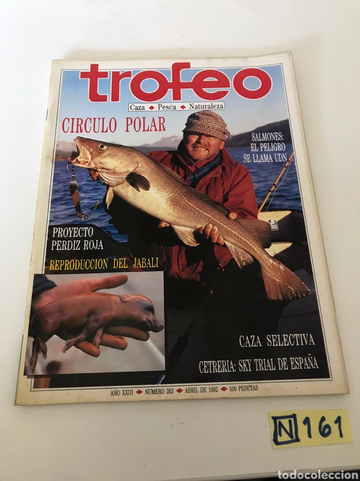 Coleccionismo de revistas y peri&oacute;dicos: Trofeo - Foto 1