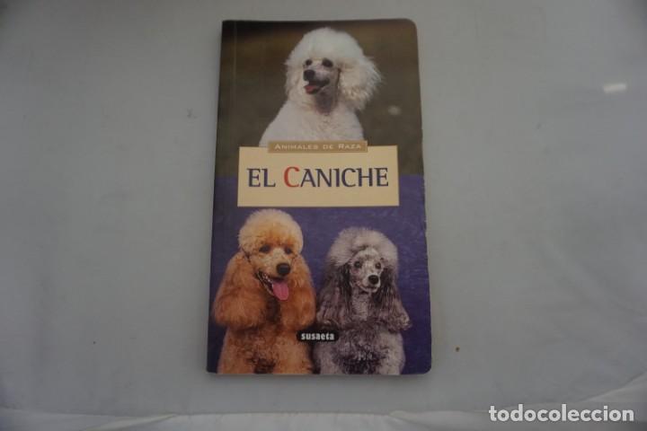 Coleccionismo de revistas y peri&oacute;dicos: AR-3/ EL CANICHE - MARIE-LUCE HUBERT / SUSAETA