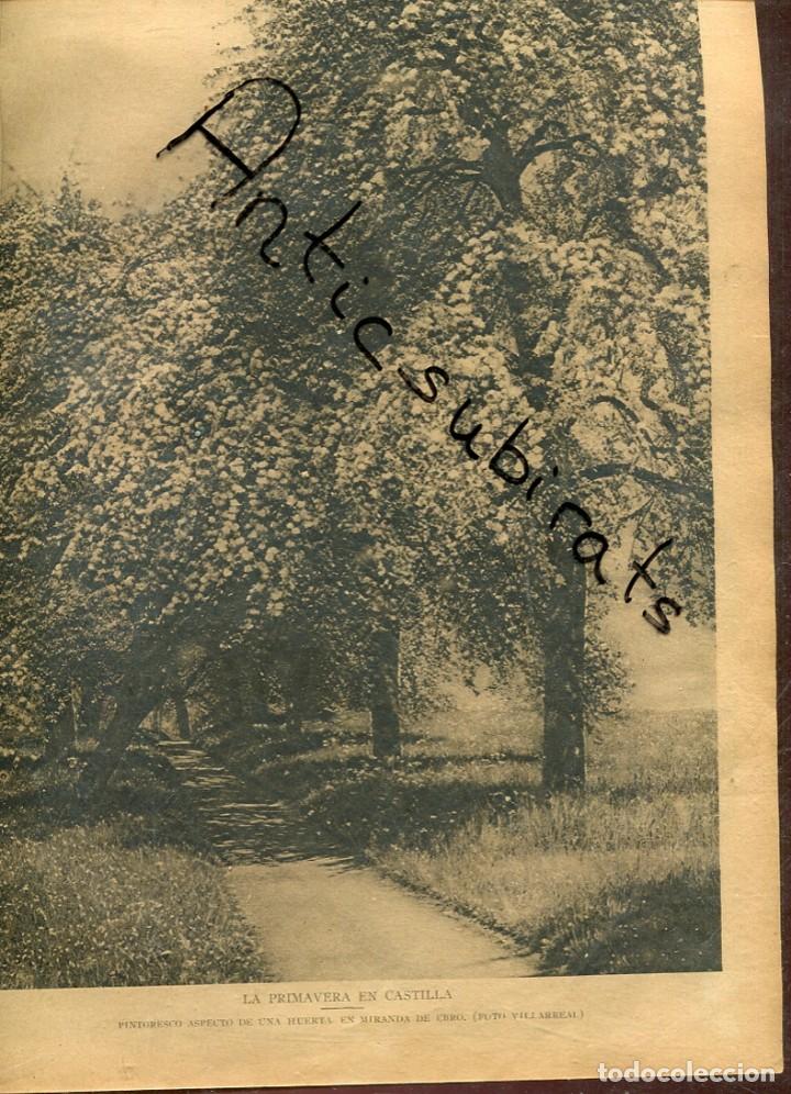 Coleccionismo de Revistas y Peri&oacute;dicos: ABC A&Ntilde;O 1923 MIRANDA DE EBRO CASTRO PLASENCIA ESCULTOR MARIANO BENLLIURE LABORATORIO BESCANSA