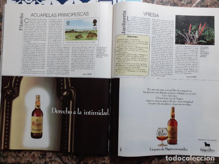 Coleccionismo de Revistas y Peri&oacute;dicos: anuncio brandy magno osborne