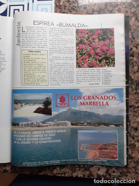 Sammeln von Zeitschriften und Zeitungen: los granados de marbella espirea bumalda