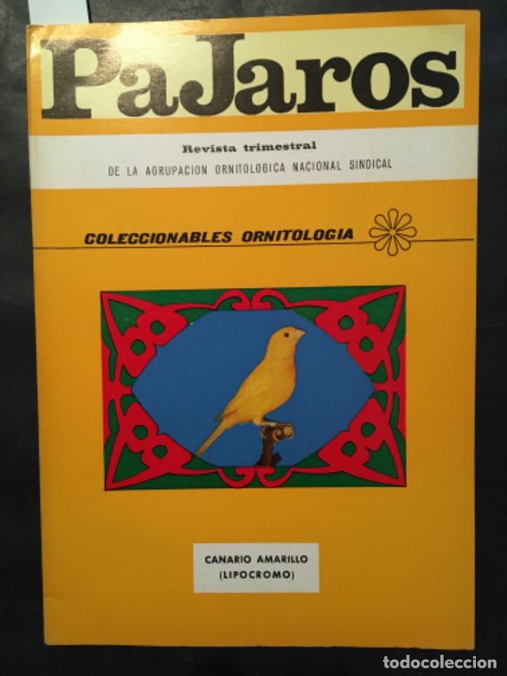Sammeln von Zeitschriften und Zeitungen: REVISTA TRIMESTRAL GRUPO NACIONAL PAJAROS, NUMERO 17, 1972