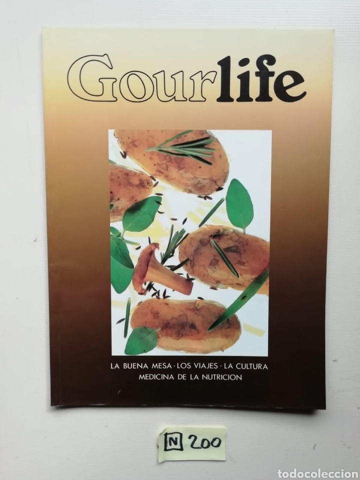 Collezionismo di Riviste e Giornali: Gour Life