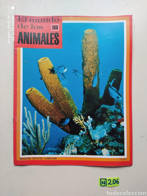Sammeln von Zeitschriften und Zeitungen: El Mundo De Los Animales