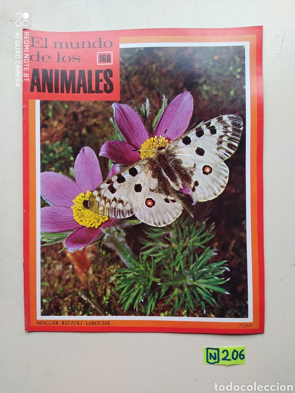 Collection Magazines and Newspapers: El Mundo De Los Animales