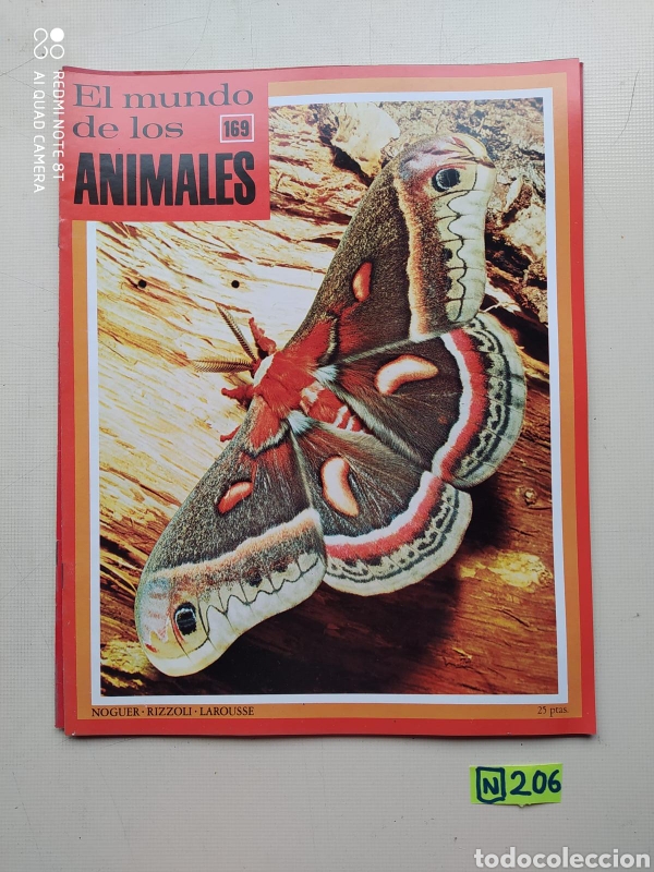 Collection Magazines and Newspapers: El Mundo De Los Animales