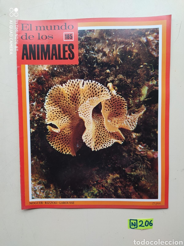 Collection Magazines and Newspapers: El Mundo De Los Animales