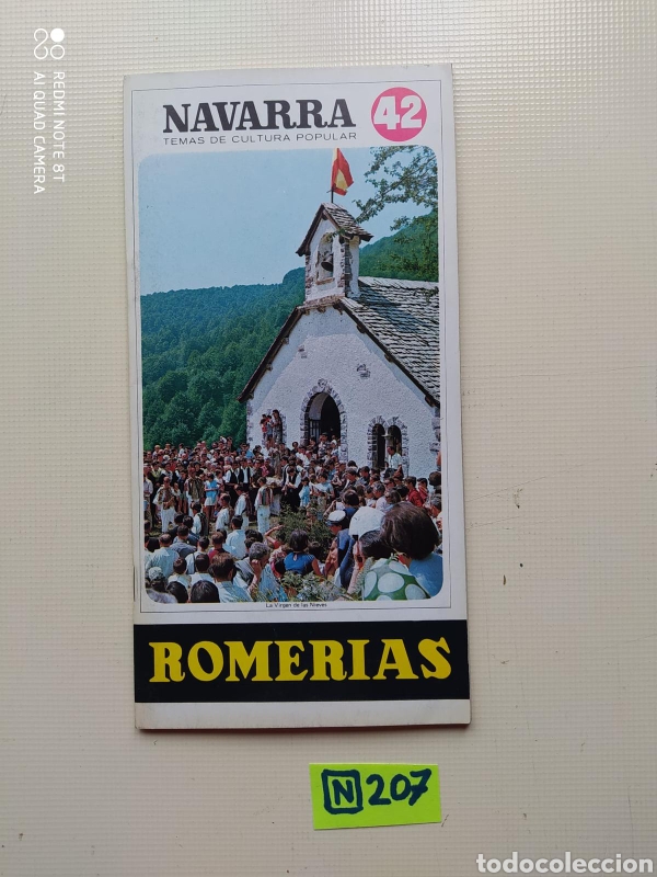 Sammeln von Zeitschriften und Zeitungen: Navarra