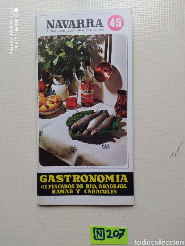 Sammeln von Zeitschriften und Zeitungen: Navarra