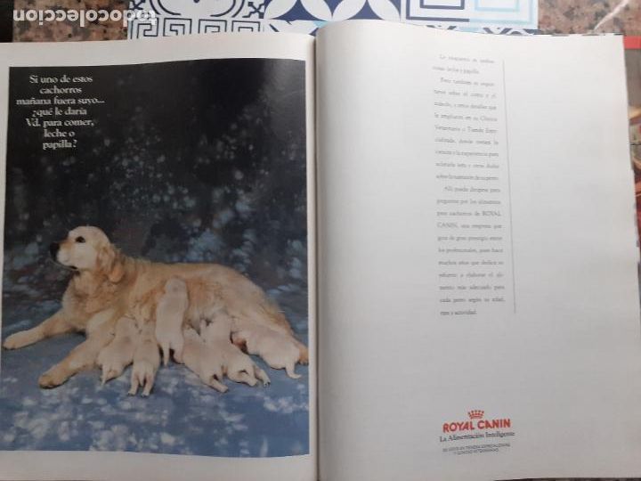 Sammeln von Zeitschriften und Zeitungen: anuncio royal canin