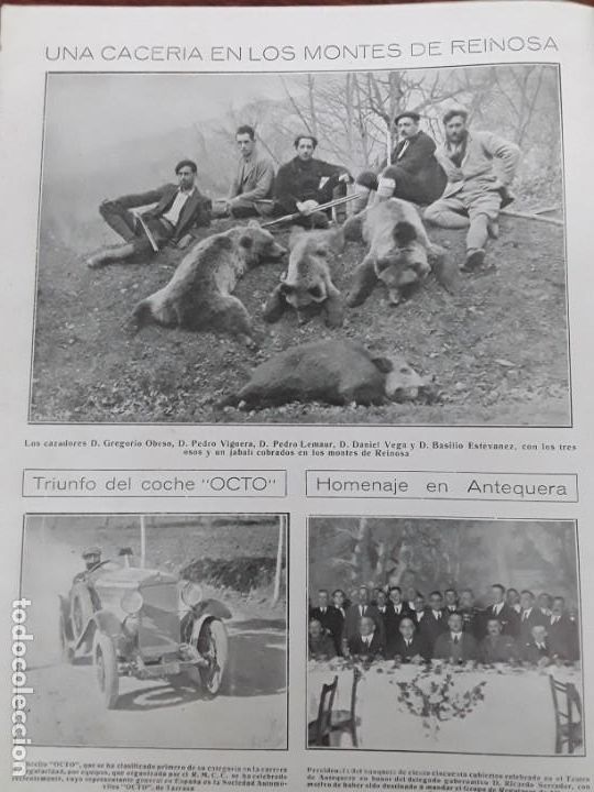 Collectionnisme de Revues et Journaux: CACERIA OSOS EN LOS MONTES DE REINOSA CANTABRIA CAZA HOJA A&Ntilde;O 1924