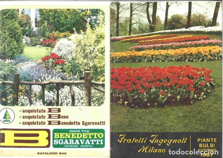 Collection Magazines and Newspapers: 2 cat&aacute;logos italianos de venta de plantas y flores. 1967