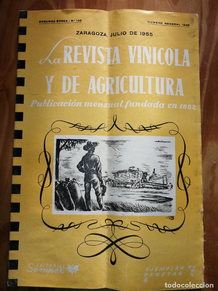 Collezionismo di Riviste e Giornali: LA REVISTA VIN&Iacute;COLA Y DE AGRICULTURA.JULIO 1955.EDITORIAL SEMPER.N&ordm;105