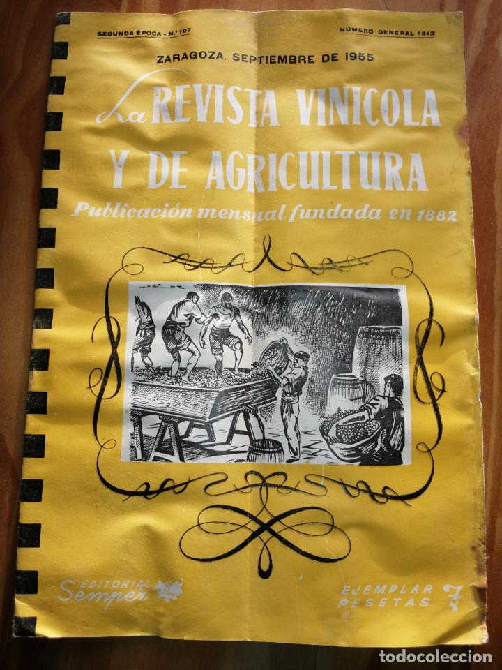 Collezionismo di Riviste e Giornali: LA REVISTA VIN&Iacute;COLA Y DE AGRICULTURA.SEMPTIEMBRE 1955.EDITORIAL SEMPER.N&ordm;107